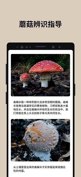 蘑菇识别扫一扫