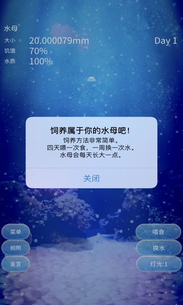 治愈的养成水母