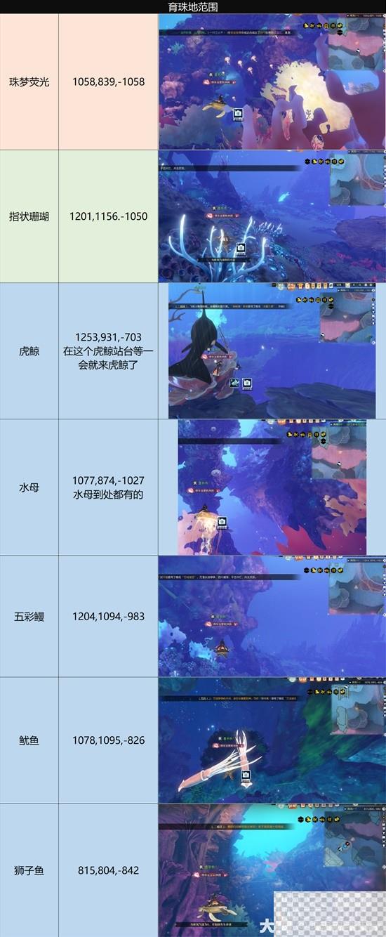 逆水寒老兵服南海探索全攻略分享图9