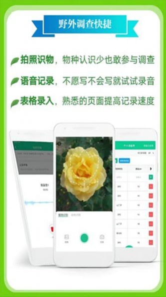 北极花生物调查最新版图2