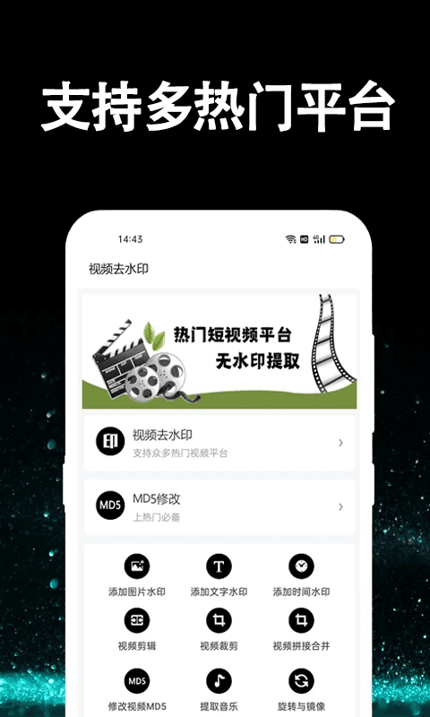 视频提取大师免费版最新版图3